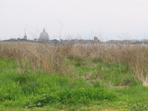 Parco della Pineta Sachetti