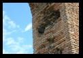 acqueducs romains