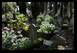 cimetière non catholique, protestant de Testaccio