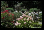 cimetière non catholique, protestant de Testaccio