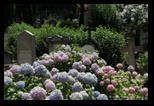 cimetière non catholique, protestant de Testaccio