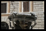 fontaine des tortues