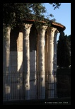 Temple d'Hercule Vengeur, forum Boarium