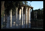 Temple d'Hercule Vengeur, forum Boarium