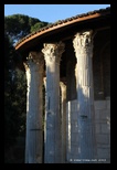 Temple d'Hercule Vengeur, forum Boarium