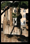 sanctuaire du largo argentina à rome