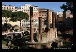 sanctuaire du largo argentina à rome