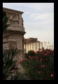 roman forum in rome