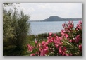 bolsena