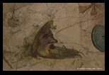 villa farnesina fresques - palais maxime