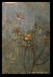 villa di livia, ninfeo, fresques - palazzo massimo