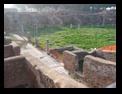 ostia antica - place des corporations