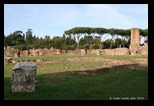 domus flavia