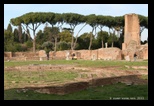 domus flavia colline du Palatin