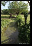 Parc de la Caffarella