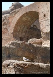 thermes de caracalla