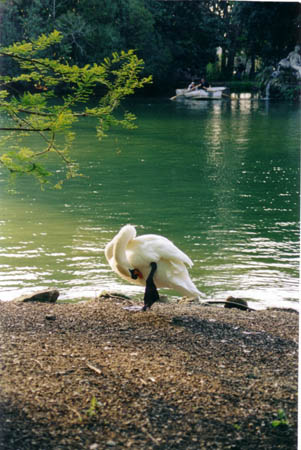 parc villa borghese