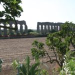 aqueduc-claudio-parc-des-aqueducs_3353