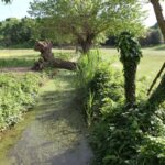 Fiume Almone, Parc de la Vallée de la Caffarella, Appia Antica, Rome-Roma
