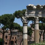 colonne tempio di venere, foro di cesare, roma