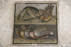Mosaïque du chat et des deux canards, Palais Massimo, Rome