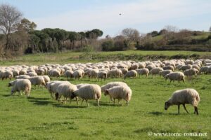 Parc de la Vallée de la Caffarella, Rome