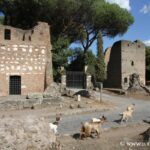Tombe à Tempietto et troupeau de chèvres, Appia Antica