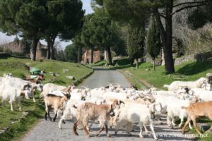 Appian Way in Rome