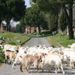 Parc archéologique de la Via Appia Antica