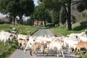 Parco archeologico dell’ Appia Antica