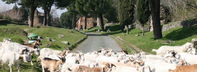 Via Appia Antica