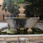 fontana-corte-san-cosimato_9289