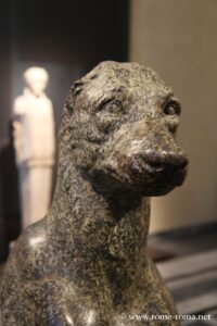 Statua di cane, sculture greco-romane ai Musei del Campidoglio