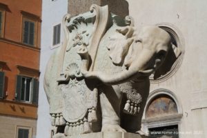 piazza-minerva_0872