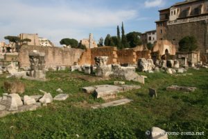 basilique-emilienne-forum-romain_0132