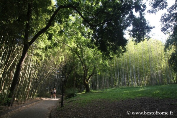 🇫🇷 Rome regorge de parcs et jardins, parfaits pour se détendre en été, agrémentés de monuments, fontaines et points d’eau. La Villa Borghese, célèbre pour son lac et la terrasse du Pincio, est un incontournable. Plus sauvage, la Villa Ada est idéale pour un pique-nique, tout comme la spacieuse Villa Pamphilj dans le quartier du Trastevere. Le parc de l’Appia Antica, mêlant vestiges antiques et la Vallée de la Caffarella, allie nature et histoire. Au centre de Rome, on trouve le Jardin des Orangers et la roseraie communale près de l’Aventin, la Villa Celimontana et la colline de l’Oppius à deux pas du Colisée, ainsi que le jardin botanique et Monte Mario du côté du Trastevere. Au nord-est, la Villa Torlonia, avec son musée, et la réserve naturelle bordant la rivière Aniene offrent d’autres havres de paix.
🇮🇹 Roma abbonda di parchi e giardini, perfetti per rinfrescarsi d’estate, decorati con monumenti, fontane e specchi d’acqua. Villa Borghese, nota per il suo lago e la terrazza del Pincio, è imperdibile. Più selvaggia, Villa Ada è ideale per un picnic, così come la spaziosa Villa Pamphilj nel quartiere Trastevere. Il parco dell’Appia Antica, con i suoi resti antichi e la Valle della Caffarella, combina natura e storia. Nel centro di Roma, si trovano il Giardino degli Aranci e il roseto comunale vicino all’Aventino, Villa Celimontana e il Colle Oppio a due passi dal Colosseo, oltre all’orto botanico e Monte Mario nel Trastevere. A nord-est, Villa Torlonia, con il suo museo, e la riserva naturale lungo il fiume Aniene offrono altri rifugi di pace.parcsrome villaborghese jardinsrome appiaantica villaada villapamphilj JardindesOrangers roseraierome villacelimontana oppio VillaSciarra jardinbotaniquerome montemario turismoroma ParchiRoma GiardiniRoma giardinobotanicoroma